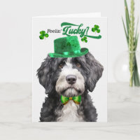 Portuguese Water Dog Lucky St Patrick's Day