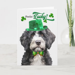 Portuguese Water Dog Lucky St Patrick's Day Holiday Card