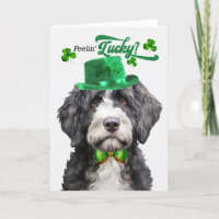 Portuguese Water Dog Lucky St Patrick's Day
