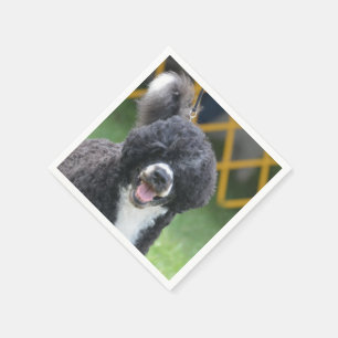 Portuguese Water Dog Napkin