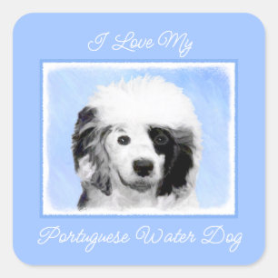 Portuguese Water Dog Painting - Original Dog Art S Square Sticker