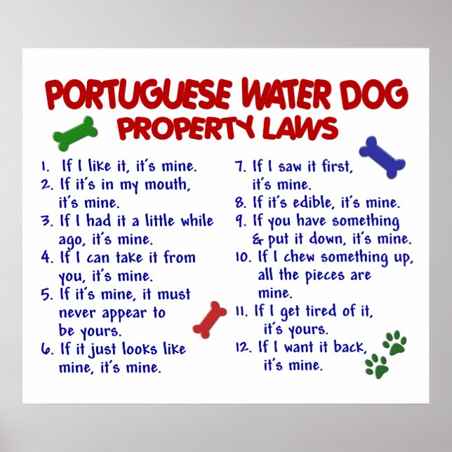 PORTUGUESE WATER DOG PL2 POSTER (Front)