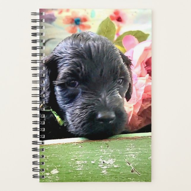 Portuguese Water Dog Planner Sweet (Devant)