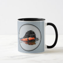 Portuguese Water Dog with Orange Bumper
