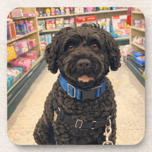 Portuguese Water Dogs Anime Anemi Coasters Set 6