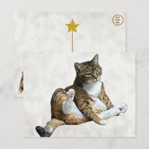 Pose de chat sot - Carte postale d'Annie