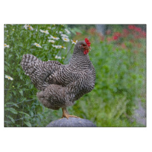 Pose de la planche à découper de poulet