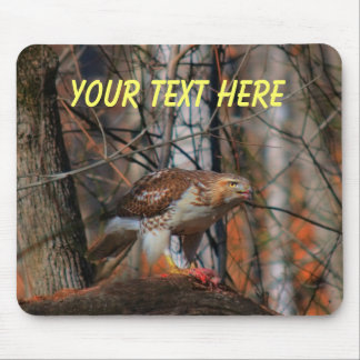 pose of a predator mouse pad