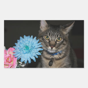 Poses de chat avec Stickers Fleurs