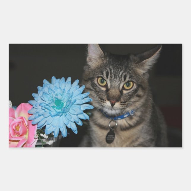 Poses de chat avec Stickers Fleurs (Devant)