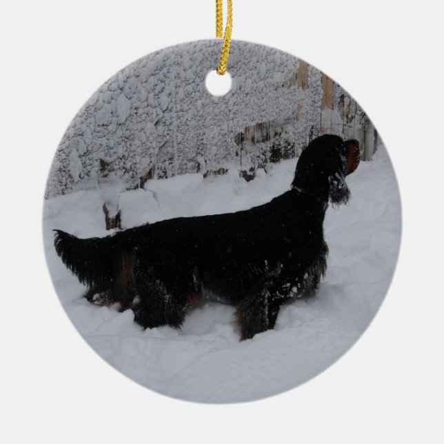 Poseurs de Gordon dans un ornement de tempête de (Devant)