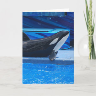Posing Orca Greeting Card