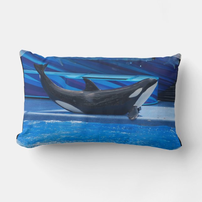 Posing Orca Pillow (Front)