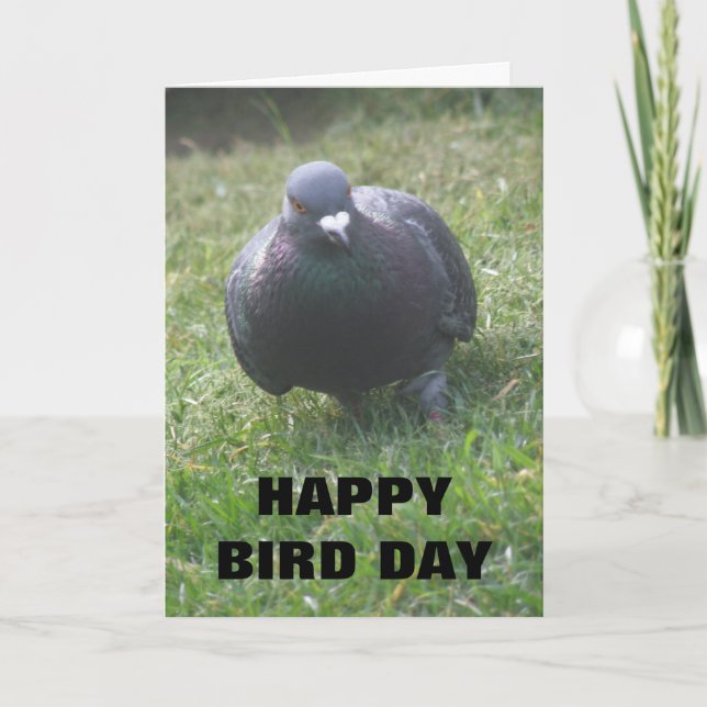 Posing Pigeon Custom Birthday Card (Front)