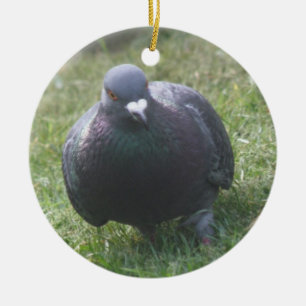 Posing Pigeon Custom Birthday Ceramic Ornament