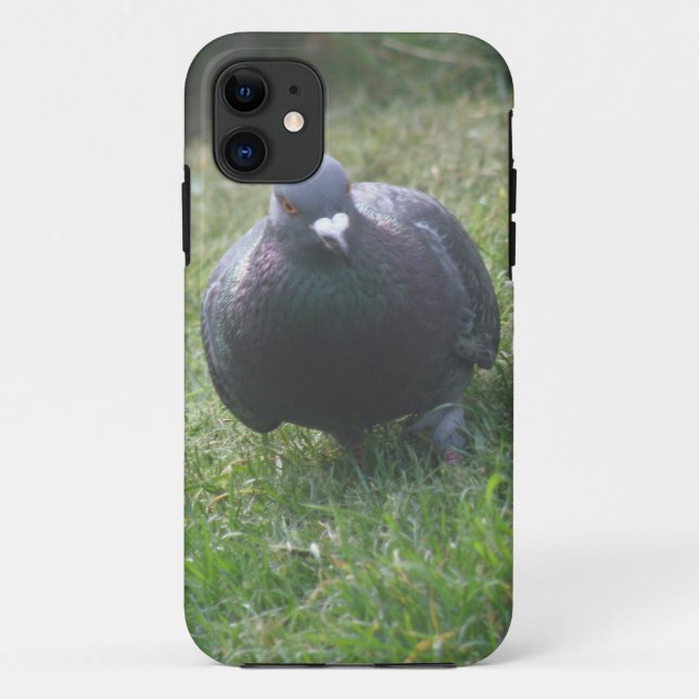 Posing Pigeon iPhone 5 Case (Back)
