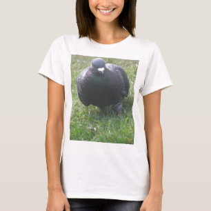 Posing Pigeon Ladies T Shirt