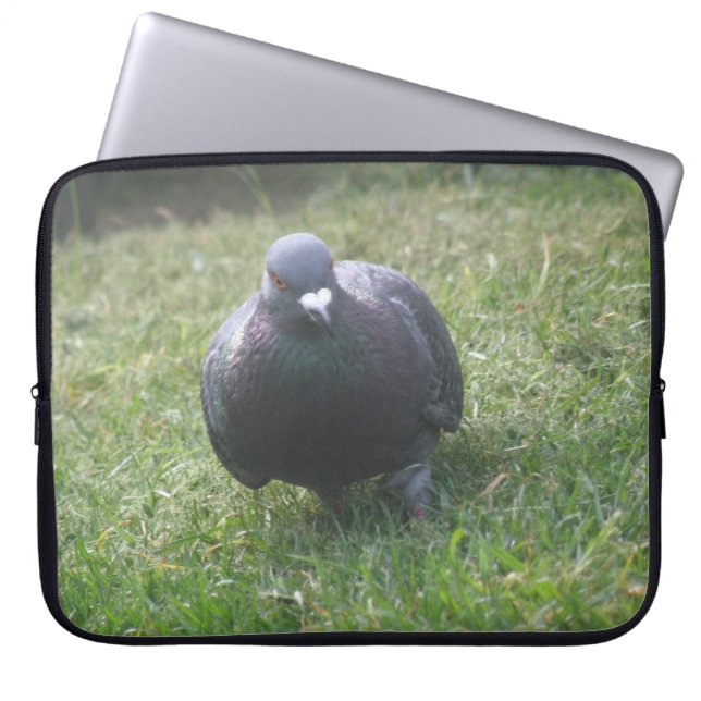 Posing Pigeon Laptop Bag (Front)