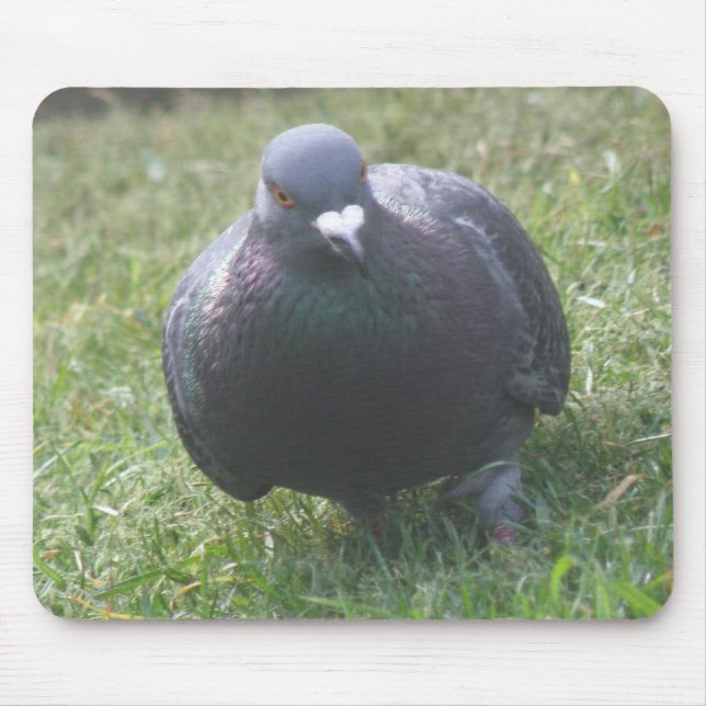 Posing Pigeon Mousepad (Front)