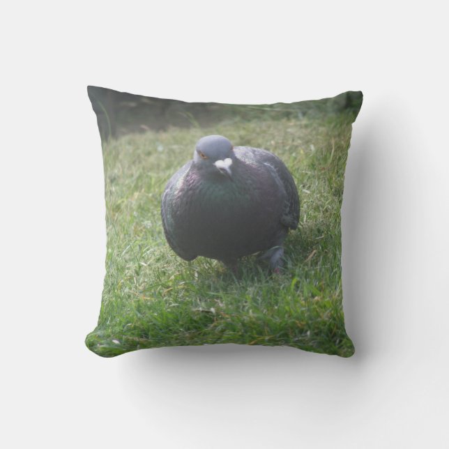Posing Pigeon Pillow (Front)