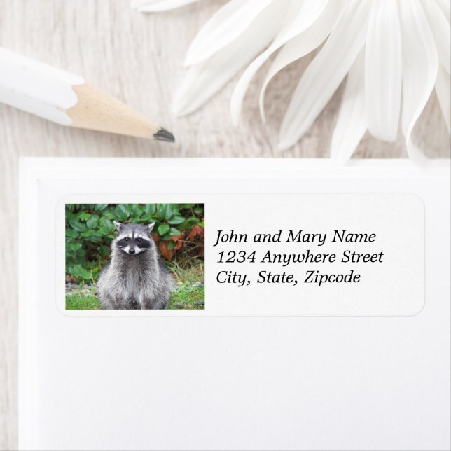 Posing Raccoon Wildlife Photo Return Address (Insitu)