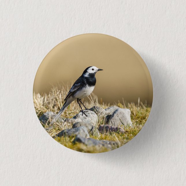 Posing Wagtail 1 Inch Round Button (Front)