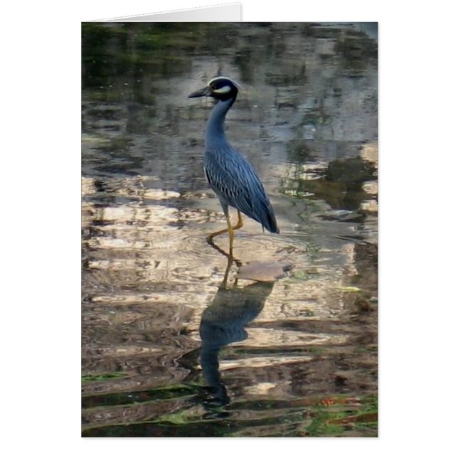 Position autour (Devant)