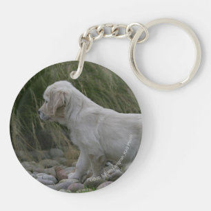 Position de chiot de golden retriever