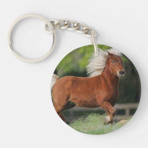 Position miniature de cheval