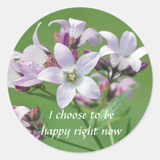 Positive Affirmation motivation about hapiness Classic Round Sticker