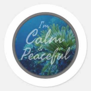 positive affirmations about self acceptance classic round sticker