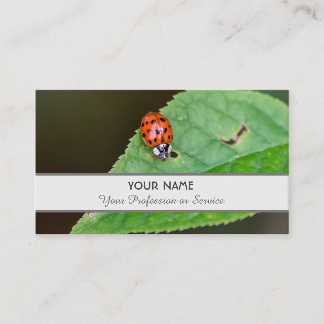 Positive and lucky ladybug for zen and education b business card (Front)