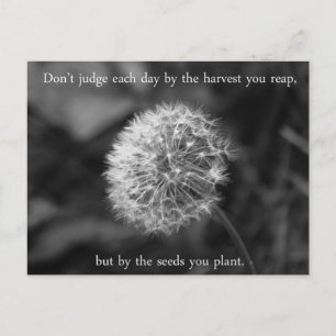 Positive Thinking Saying with Dandelion Postcard
