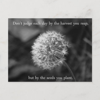 Positive Thinking Saying with Dandelion Postcard