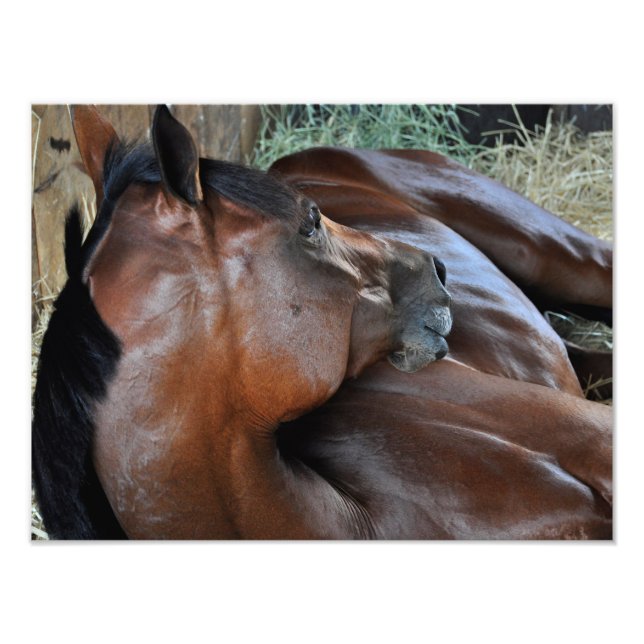 Positively Royal Photo Print (Front)