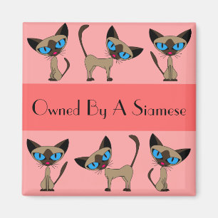 Possédé par un aimant siamois