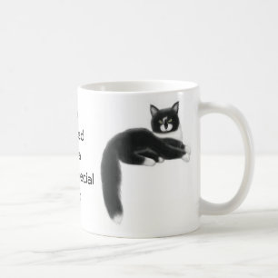 Possédé par une tasse spéciale de chat