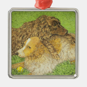 Possession Metal Ornament