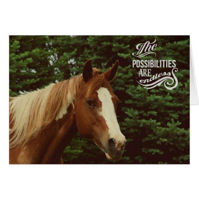 Possibilités infinies Paint Horse Mare (Devant horizontal)