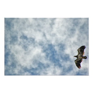 Possibilities Ahead Photo Print