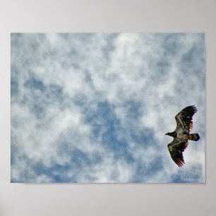 Possibilities Ahead Poster