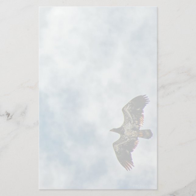 Possibilities Ahead Stationery (Front)