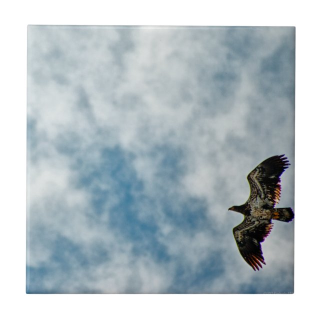 Possibilities Ahead Tile (Front)