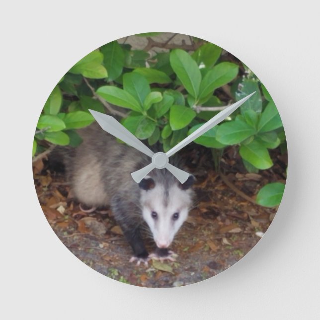 Possum Acrylic Wall Clock (Front)