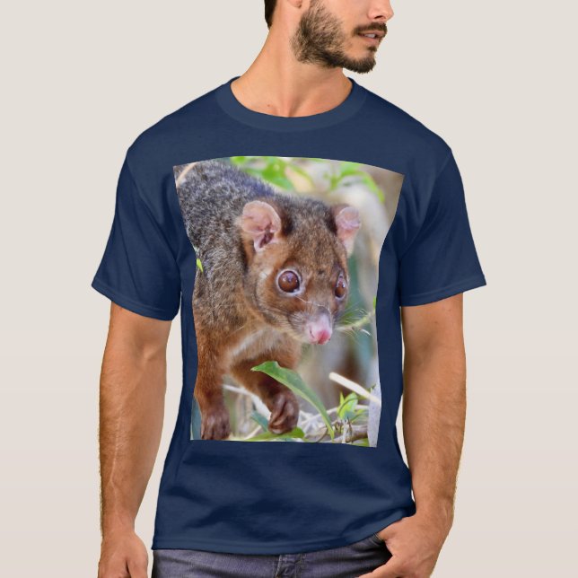 Possum at Arkarra Lagoons gift T-Shirt (Front)