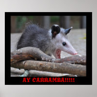 Possum d'horreur - Poster