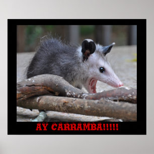 Possum d'horreur - Poster
