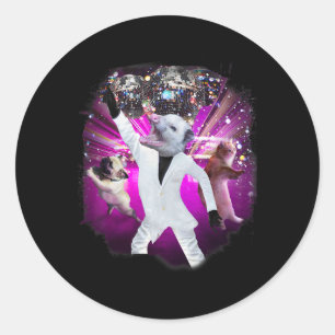 Possum Disco Ball Dancing Classic Round Sticker
