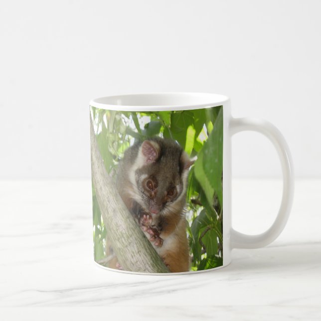 Possum In A Tree Coffee Mug (Right)