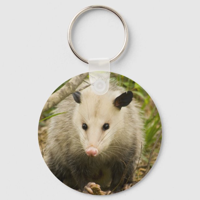 Possums are Pretty - Opossum Didelphimorphia Keychain (Front)